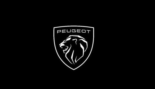 第11代狮标亮相漂后品牌全新启航！！！